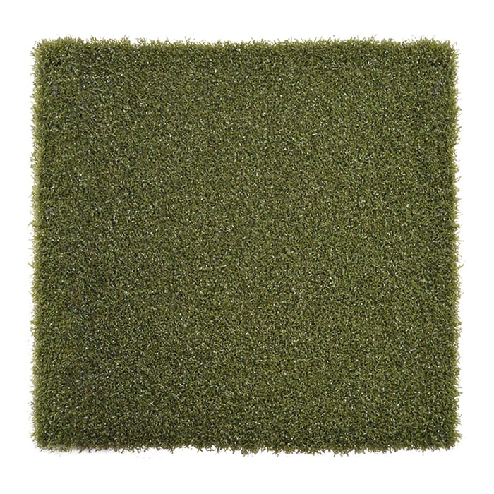 SportsGrass Drive