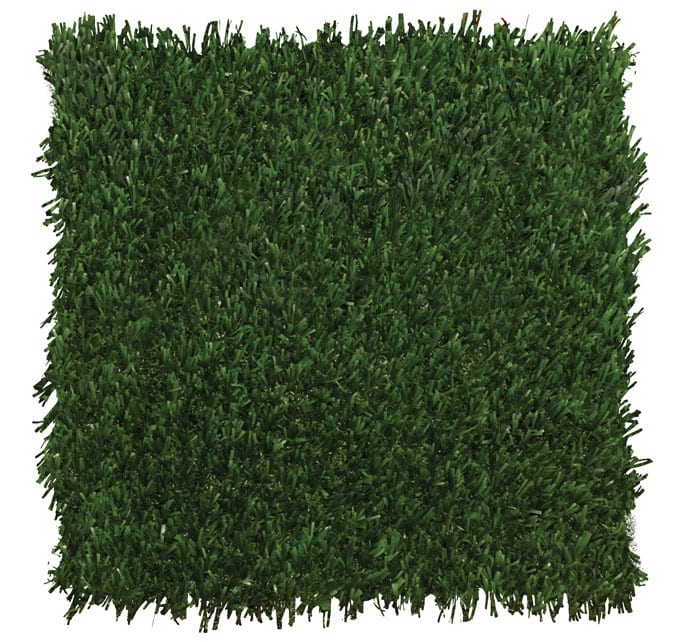 SportsGrass Arena